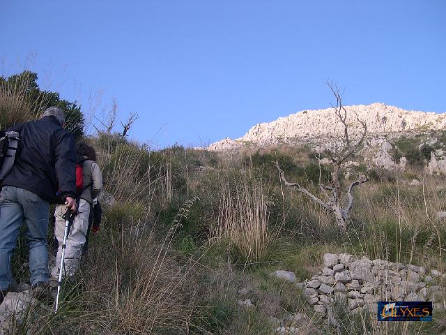 con lo sguardo a s.costanzo.JPG